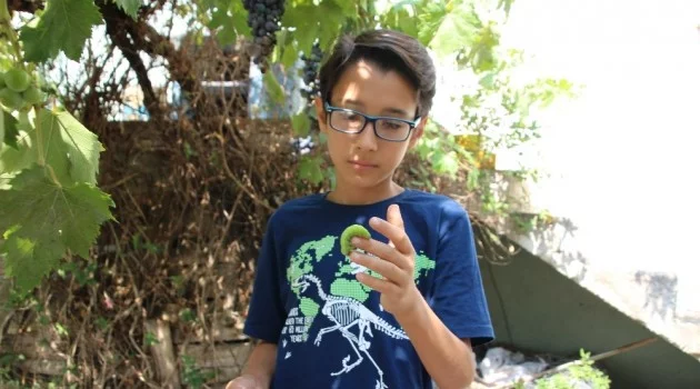 12 yaşındaki çocuk çektiği hayvan videoları ile fenomen oldu