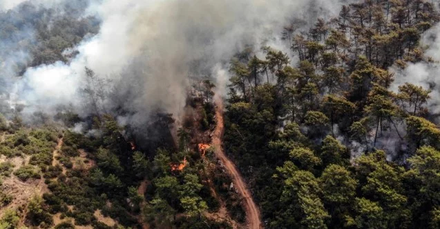 160 yangın kontrol altına alındı, 14’ünü söndürme çalışmaları sürüyor