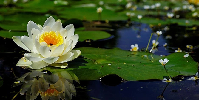 Kaan Çakır ile Tuğçe Küçük mutluluğa ‘evet’ dedi