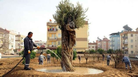 Anadolu Bahçesi’ne 60 yeni ağaç