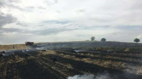 Tarlada çıkan yangın çiftçinin 30 dönüm buğdayını yaktı