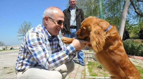 Başkan Akgün: "Hiçbir sokak hayvanı aç ve susuz kalmayacak"