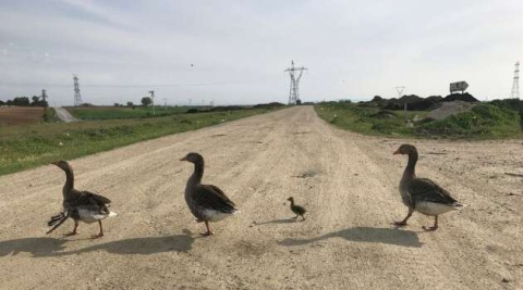 Beymen Club’ın düzenlediği fotoğraf yarışmasının kazananları belli oldu