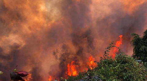 Bursa Orman Bölge Müdürü Yalçın Akın'dan Mudanya yangını açıklaması
