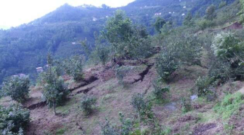 Ordu’daki selde 809 ton fındık, 17 bin civciv kayboldu