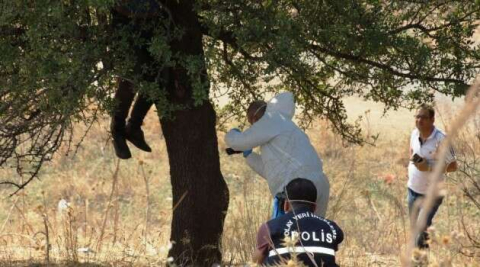 Aydın’da ağaca asılı halde erkek cesedi bulundu
