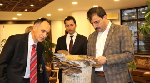 İstiridye mantarı satışı için Başkan Türkmen’den yer talep ettiler