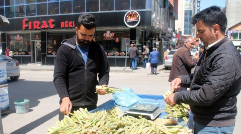 Şifa kaynağı ışkın tezgahlardaki yerini aldı