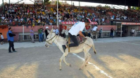 Eşekler birinci olabilmek yarıştı