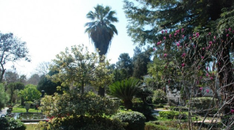 Türkiye’nin ilk Polen Alerji Bülteni İzmir’de