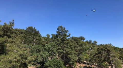 Demre’de ormanlık alanda yangın