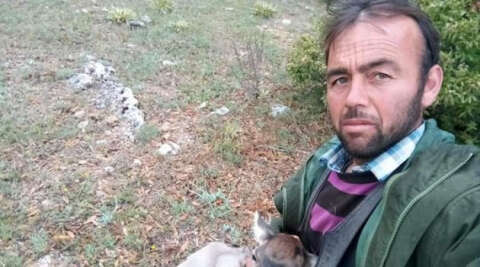 Çobanın bulduğu yaralı geyik tedavi edildi