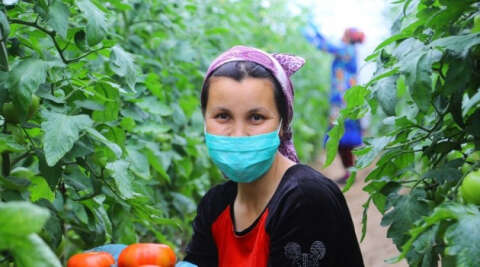Özbekistan’da dar gelirli ailelere sera desteği