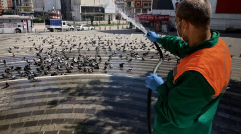 Meydanlar boş kaldı, yüzlerce güvercin böyle yıkandı