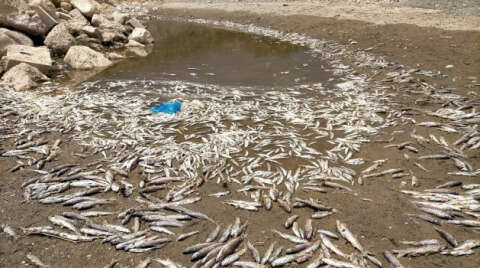 Adıyaman’da korkutan görüntü