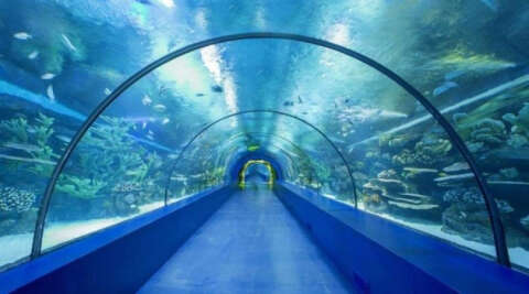 Türkiye’de hatta dünyada bir ilk olacak