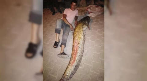 Oltayla 48 kilogramlık yayın balığı yakaladı