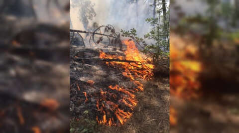 Kızılcahamam’daki Soğuksu Milli Parkı’nda ikinci yangın