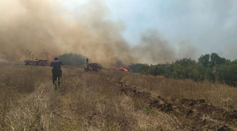 Bursa’da çiftlikte çıkan yangın ormana sıçradı, müdahale ediliyor