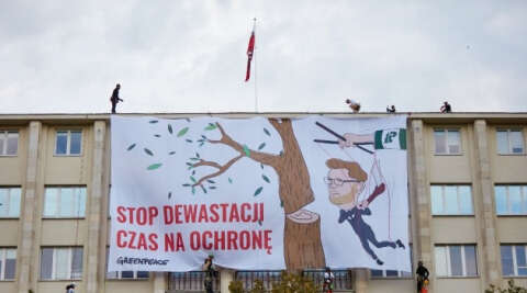 Polonya’da bakanlık çatısında eylem yapan çevreci aktivistlere gözaltı