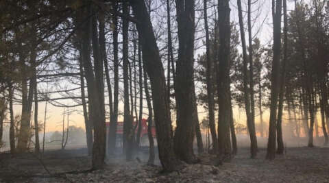 Kastamonu’da balya makinesinden sıçrayan kıvılcım ormanı yaktı