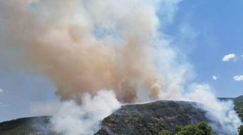 Elazığ’daki orman yangını kontrol altına alınmaya çalışılıyor