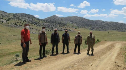 Anadolu’nun ‘cerenleri’ 180 yıl önce yaşadıkları Nurhak’a geri dönüyor