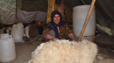 Koyun postu içinde kışlık peynir üretiliyor