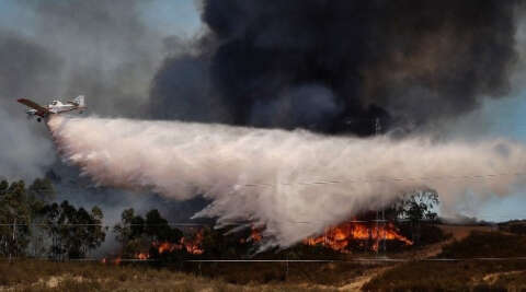 İspanya’da çıkan orman yangını hızla yayılıyor