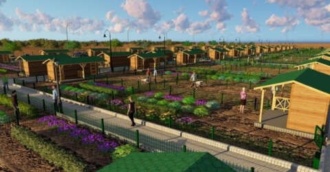 Afyonkarahisar’da 229 adet hobi bahçesi yapılacak