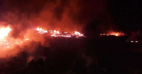 Bolu’da yaylada çıkan yangında 2 ev, 2 ahır ve samanlık yandı