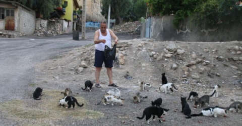 Maaşının üçte biri ile sokak kedilerini besliyor