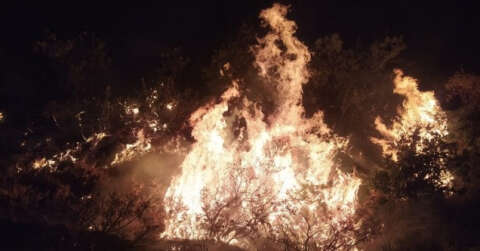 Elazığ’da orman yangınına müdahale sürüyor