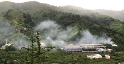 Tarım ve Orman Bakanlığının ifşası çaydaki boyayı ortaya çıkardı