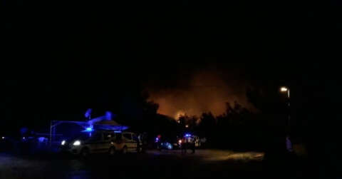 Ayvalık Beydağ’da orman yangını