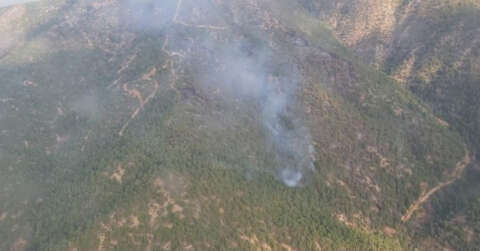 Eskişehir’de 70 hektar ormanlık alan kül oldu