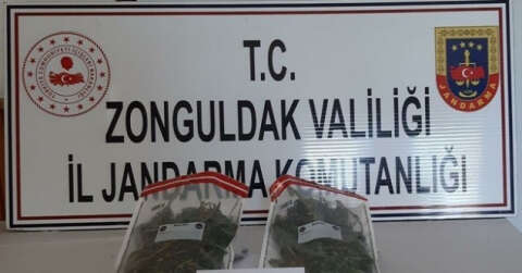 Zonguldak’ta uyuşturucu operasyonu: 500 gram kubar esrar ele geçirildi