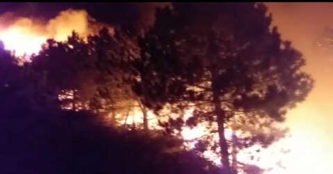 İzmir’de ormanlık alanda çıkan yangın kontrol altında