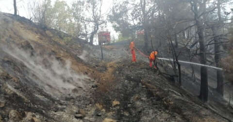 Kahramanmaraş’ta 1 hektar ormanlık alan zarar gördü