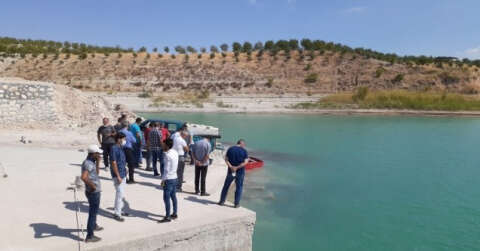 Atatürk Baraj Gölü’ne 300 bin balık yavrusu bırakıldı