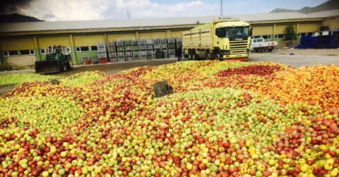 Eğirdir’de ıskarta elmanın kilosu 65 kuruştan alınıyor