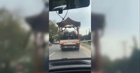 Bursa'da şok eden görüntü! Seyir halindeki kamyonetin kasasında tavla keyfi