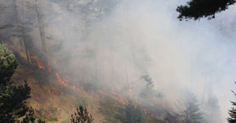 Kastamonu’da iki farklı noktada 3 gündür devam eden orman yangını söndürülemiyor