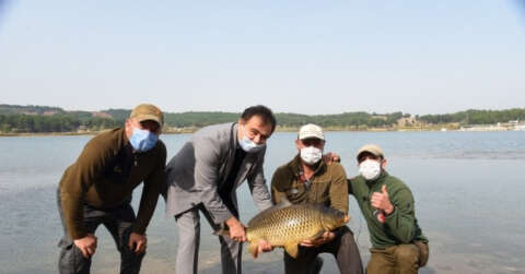 17 kiloluk dev sazan balığını Belediye Başkanı Şahin gölete bıraktı
