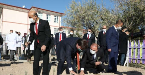 Öğretmen vali, okullarda öğretmenlerin gününü kutlayarak lavanta dikti