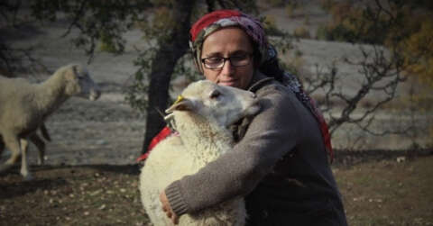 Dağlarda kadın başına 150 koyununa çobanlık yapıyor