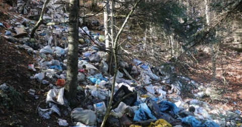 Bolu’da ormanlara atılan çöpler doğal hayatı tehdit ediyor