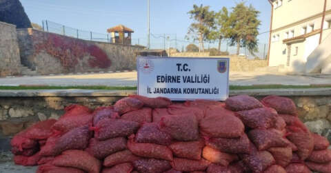 Edirne’de 600 bin TL’lik 3 ton kum midyesi ele geçirildi