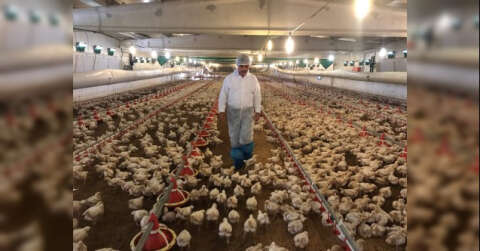Beyaz et sektörü Japonya ve Çin’den sonra gözünü AB pazarına dikti