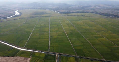 Tarım alanlarında 8,25 milyon hektar alanda toplulaştırma çalışmaları  sürüyor